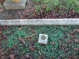 image of grave number 372998